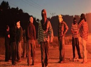 Jerusalemite doctor injured in colonists' attack near Bethlehem