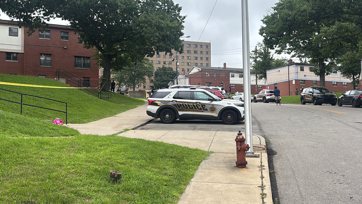 Fatal shooting in Pittsburgh's Northview Heights neighborhood