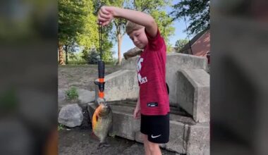 8-year-old boy catches South American piranha in Pennsylvania lake during fishing trip with his dad