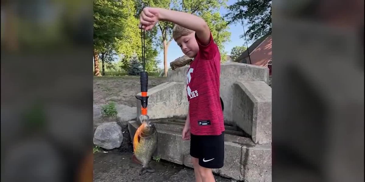 8-year-old boy catches South American piranha in Pennsylvania lake during fishing trip with his dad