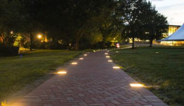 The Gender-Based Research Lab created a petition in October that received over 300 signatures calling for improved campus lighting.