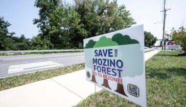Residents of Upper Darby Township are rallying to protect 15 acres of land from being developed as a mixed-use retail and residential site. A "Save the Mozino Forest" sign is pictured across the street from the site in Upper Darby.