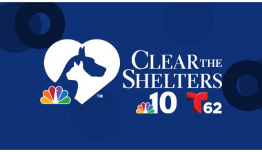 NBC10 and Telemundo62’s annual pet adoption & donation campaign, ‘Clear the Shelters,’ returns this August – NBC10 Philadelphia