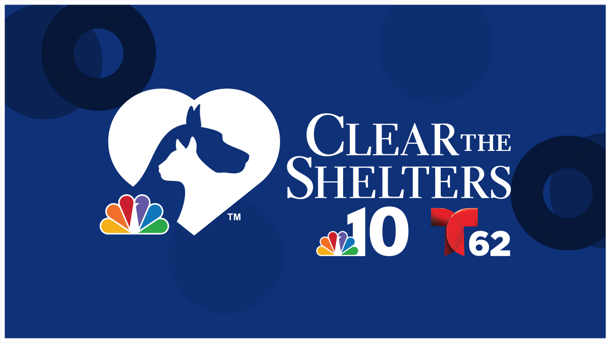 NBC10 and Telemundo62’s annual pet adoption & donation campaign, ‘Clear the Shelters,’ returns this August – NBC10 Philadelphia