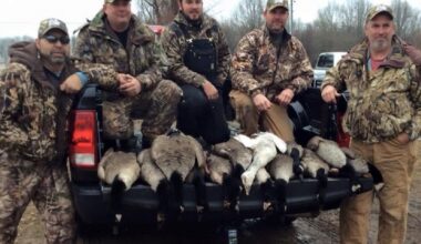 Early Canada goose hunting season opens Sept. 1 in Pennsylvania