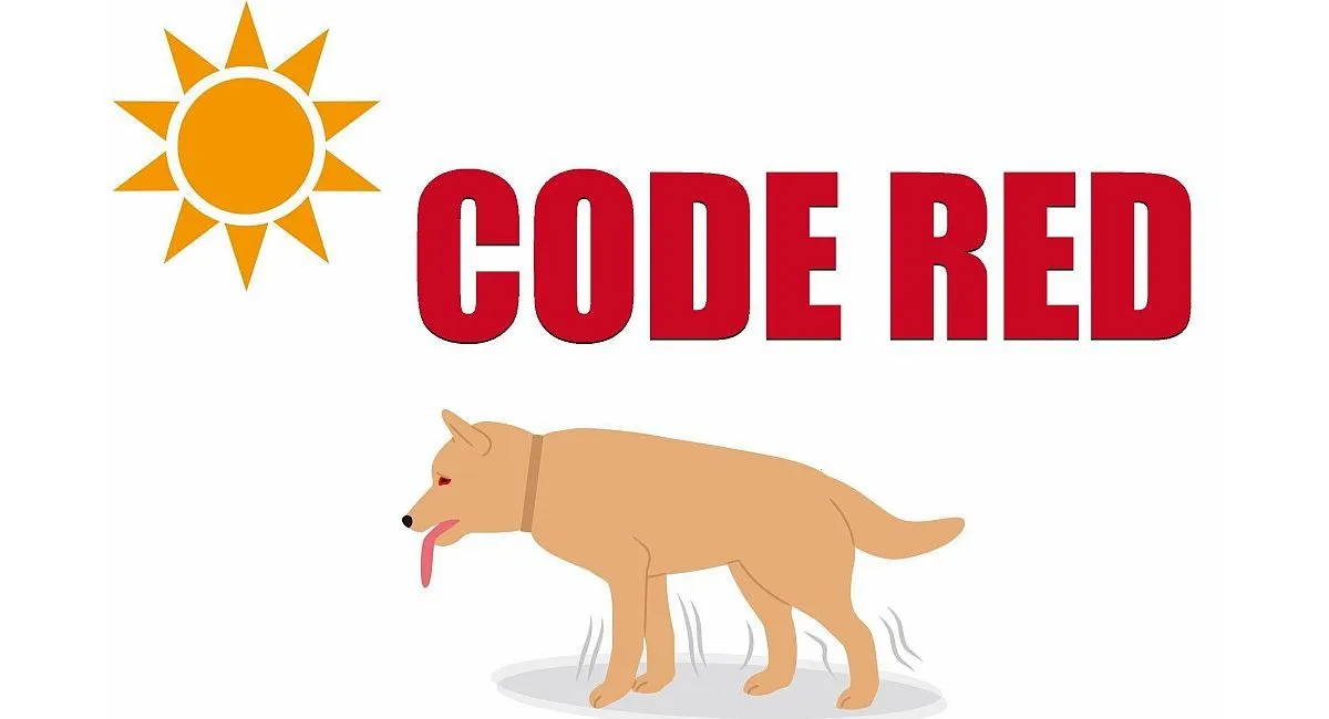 Code Red issued by Animal Rescue League for Reading pets