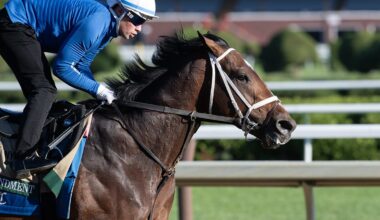 Travers, Pennsylvania Derby Possible for Commandment