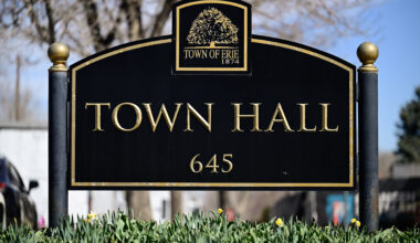 Erie voters will decide on 3 Town Council seats in November's election
