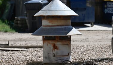 Tower behind Erie Chamber of Commerce building gets scrapped, but historic group saves old siren