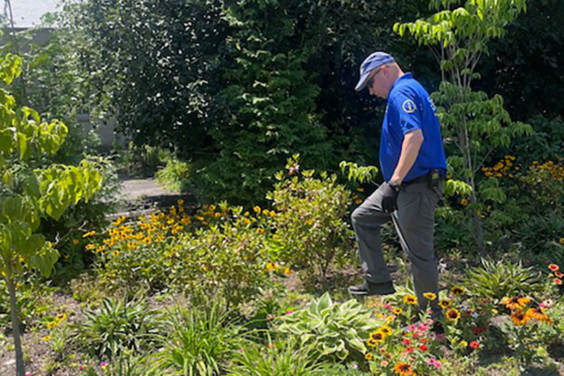 A man trims weeds in a landscaped section of Downtown Scranton, PA.