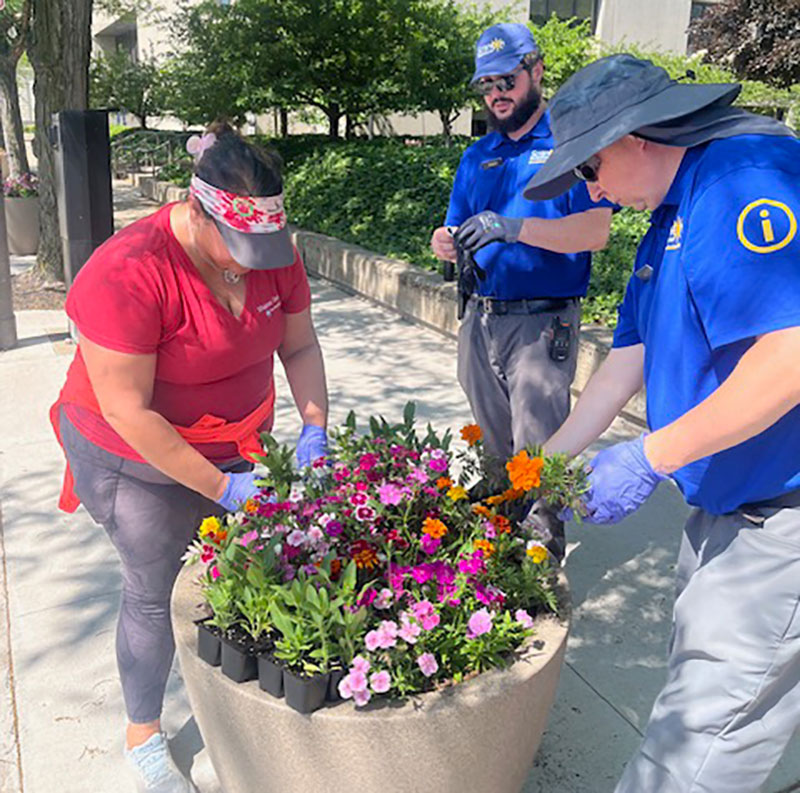 A group of volunteers and ambassadors arrange flowers in a pot in Downtown Scranton, PA.