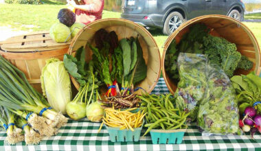 Hillside Park Farmers Market | South Abington Twp., PA