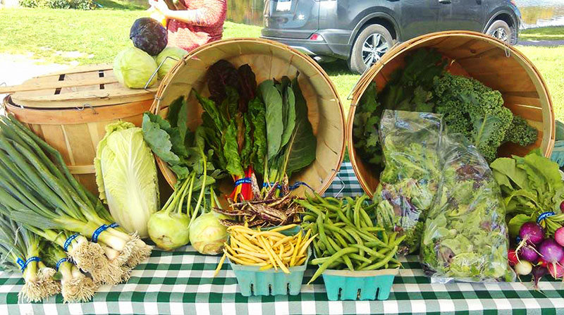 Hillside Park Farmers Market | South Abington Twp., PA