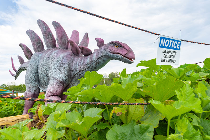 Jurassic Farm Dino Fest | North Abington Twp., PA
