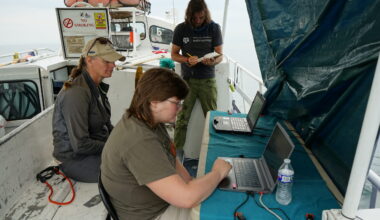 Archaeologists dig in Lake Erie, and find relics of the Ice Age