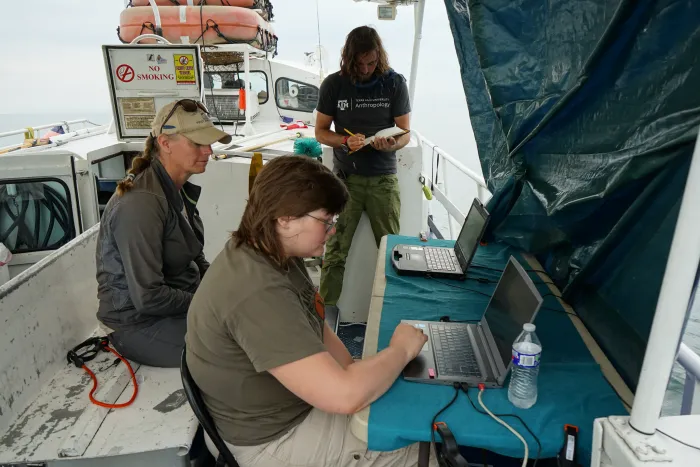 A person  sites at a laptop on a folding table on a boat while two people look on.