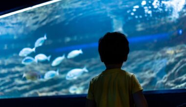 Adventure Aquarium Offers Free Year-Long Pass for Kids Aged 2-5