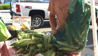 The ripple effect of shopping local