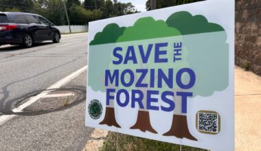 Upper Darby tables Mozino zoning ordinance