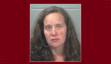 Pennsylvania mom reaches plea deal with the state in deaths of 3-year-old daughter, dog