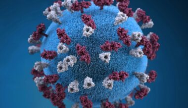 An illustration of a spherical-shaped, measles virus particle.