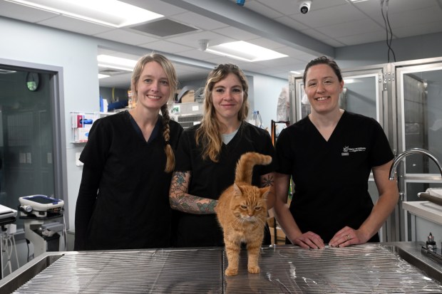 From left, Dr. Casey Dignan, Dr. Victoria Orlando and Dr. Gina Watzka operate the Firefly Veterinary Urgent Care, 11 Ingot Drive, Maidencreek Township. (BILL UHRICH/MEDIANEWS GROUP)