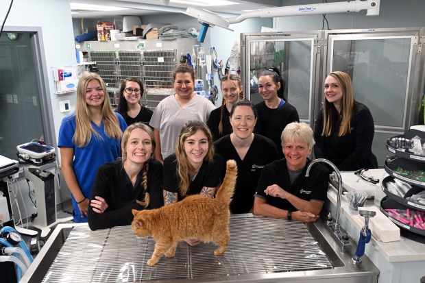 The doctors and staff of the Firefly Veterinary Urgent Care, 11 Ingot Drive, Maidencreek Township. (BILL UHRICH/MEDIANEWS GROUP)