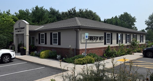 The Firefly Veterinary Urgent Care, 11 Ingot Drive, Maidencreek Township. (BILL UHRICH/MEDIANEWS GROUP)
