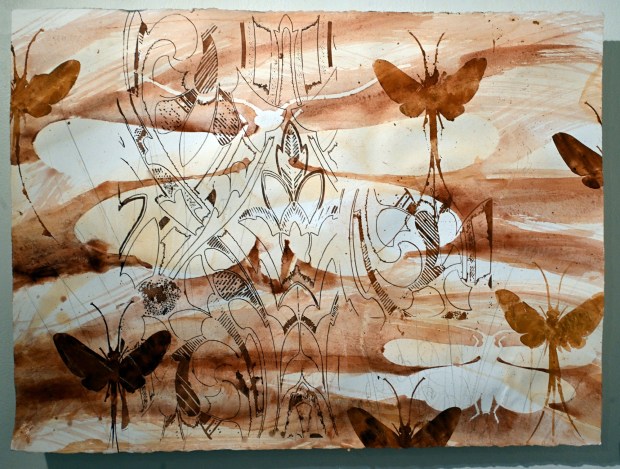 Sally Veach's "Red Mo #9 /Gilded Age Stonefly" is a painting on display at the GoggleWorks that was created with pigments from acid mine drainage from abandoned coal mines. (BILL UHRICH/READING EAGLE)