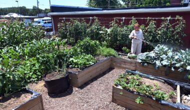 West Lawn church cultivates fellowship and nourishment