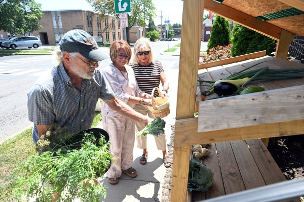 From left, Master Gardener David Helwig of Spring Township, Maribel Romero of Sinking Spring and Linda Yeager of Riverview Park stock the vegetable stand at the West Lawn United Methodist Church Community Garden, 100 Woodside Ave. (BILL UHRICH/READING EAGLE)