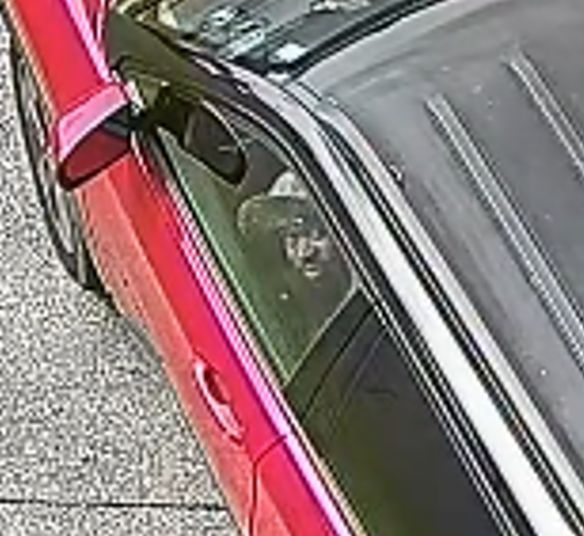 Bern Township police are seeking tips in a theft from a vehicle at a garage on Route 183. (Crime Alert Berks County)