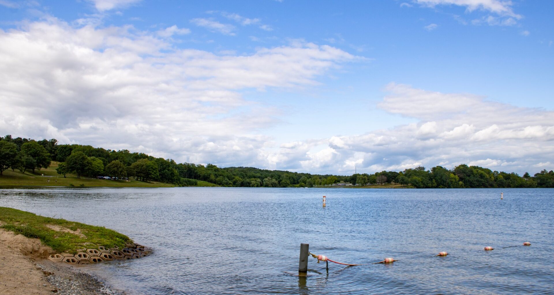 Unpredictable algal blooms keep Blue Marsh on alert – Pottsville Republican Herald