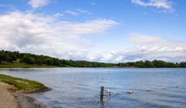 Unpredictable algal blooms keep Blue Marsh on alert – Pottsville Republican Herald