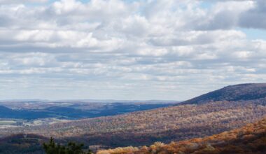 Outdoors Briefs – Pottsville Republican Herald