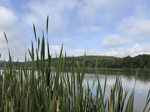 Frances Slocum State Park. (PA DCNR)