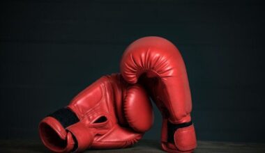 State Golden Gloves boxing championships returning to Dunmore – Scranton Times-Tribune