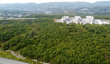 Norwegian company to spend nearly $1 billion on stake in Jessup power plant