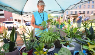 Electric City Farmers Market opens