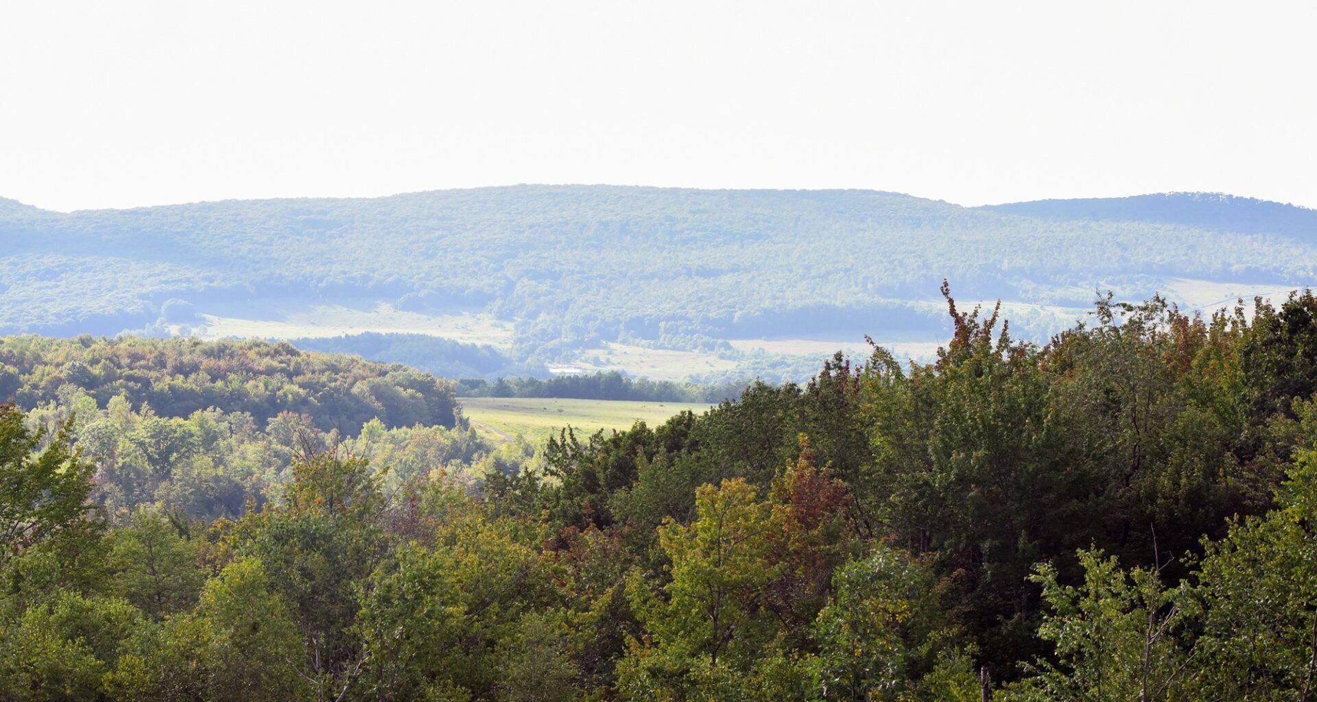 PPL secures 11-plus square miles in Archbald, Upvalley for power plants