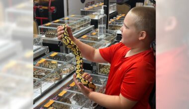 A place for all animals: Electric City Reptile Expo aims to silence stigmas