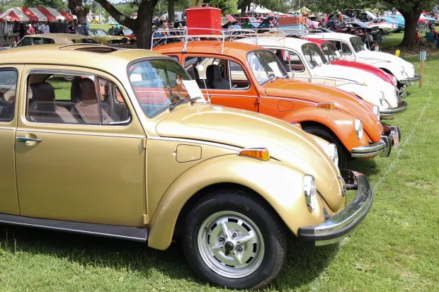 Several Volkswagon Beetles are lined up in a row Sunday, Aug. 2, 2026, at the 63rd annual Das Awkscht Fescht antique and classic car show at Macungie Memorial Park in Macungie. (Jon Chiu/The Morning Call)