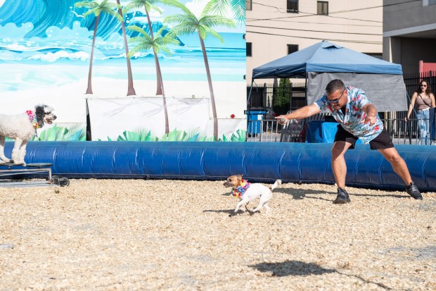People enjoy the food, sights and sounds Saturday, Aug. 30, 2025, at the Allentown Fair. The fair runs through Monday and opens at noon daily. Regular admission is $10; kids 12 and under enter for free.(Jonathan Broady/Special to The Morning Call)