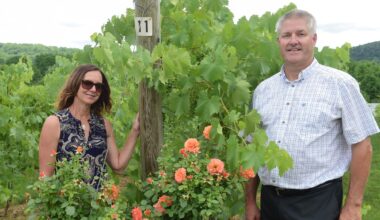 Lehigh Valley winery to close tasting room