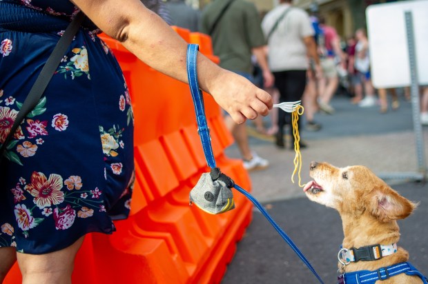 Festivalgoers enjoy food, music, and the atmosphere as they gather ahead of the evening's headlining performance during Musikfest on Saturday, Aug. 8, 2026, in Bethlehem. The annual festival runs through Aug. 9. (Jonathan Broady/Special to The Morning Call)