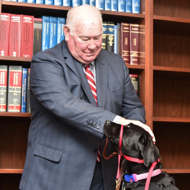 During a news conference in July 2017, Lehigh County District Attorney James Martin pets and talks with Ramona, a female black Labrador Retriever, the new courthouse companion dog. (April Gamiz/The Morning Call)