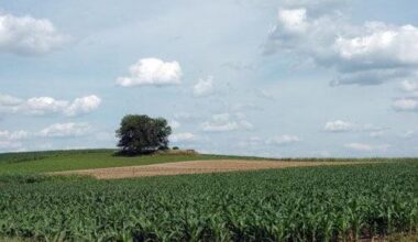 Five more Lehigh Valley farms are preserved under state program