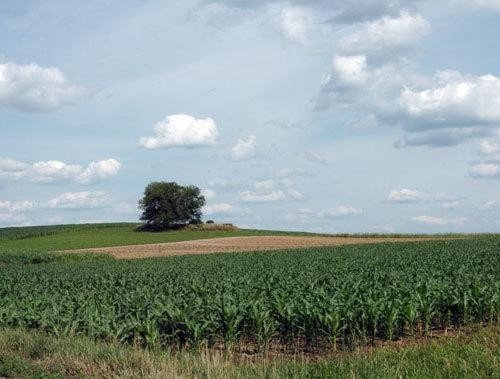 Five more Lehigh Valley farms are preserved under state program