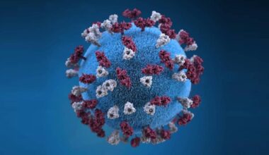Measles deaths reported in Pennsylvania spark fight among politicians and health officials – Delco Times