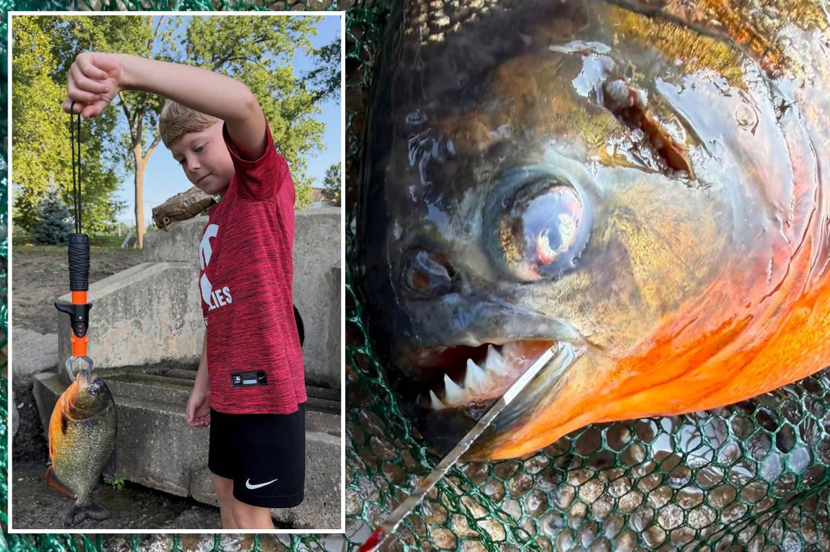 'It's a piranha!' Pennsylvania boy expected to catch a bass — hooked a piranha instead